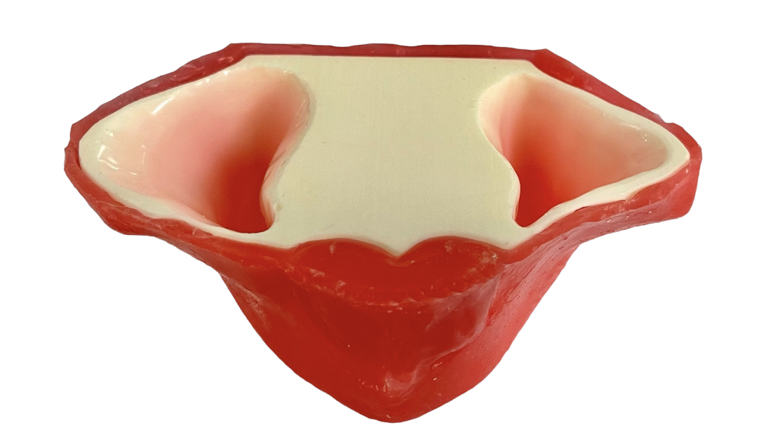 E20/P – Zahnloses Oberkiefermodell – GF Dental di Ficuciello Antonino, Die & Model Materials