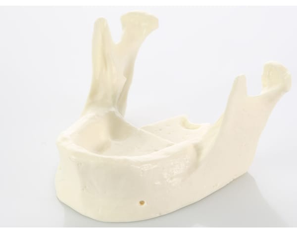 E22 – Kiefermodell aus synthetischem Knochenmaterial