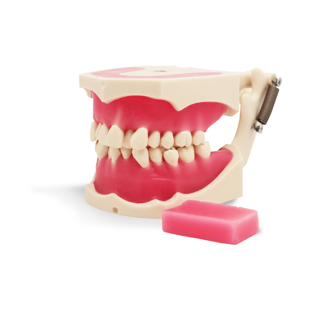 E40 - Simulateur orthodontique – GF Dental di Ficuciello Antonino, Other Laboratory Equipment (Scales, Water Baths, Plaster Traps, Microscopes)