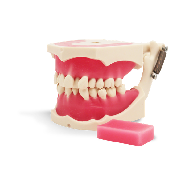 E40 - Simulateur orthodontique
