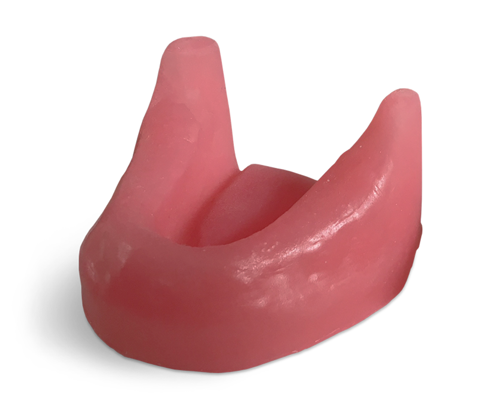 E81/G – Kiefermodell aus synthetischem Knochenmaterial – GF Dental di Ficuciello Antonino, Gipszusätze, Stumpflacke und Gipslöser