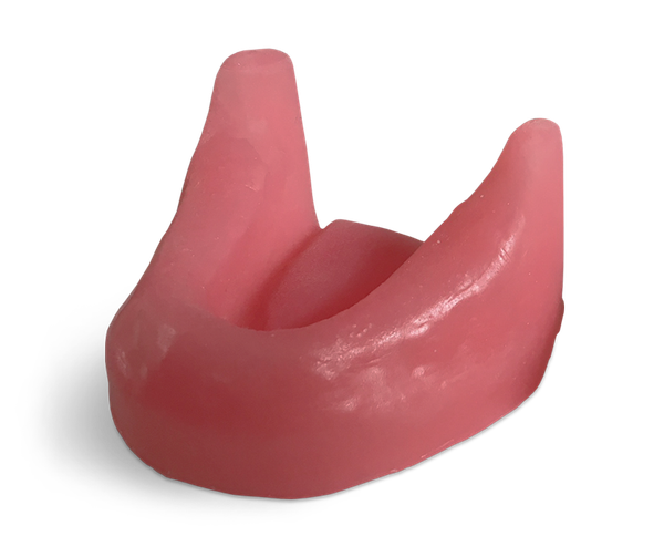 E81/G – Kiefermodell aus synthetischem Knochenmaterial