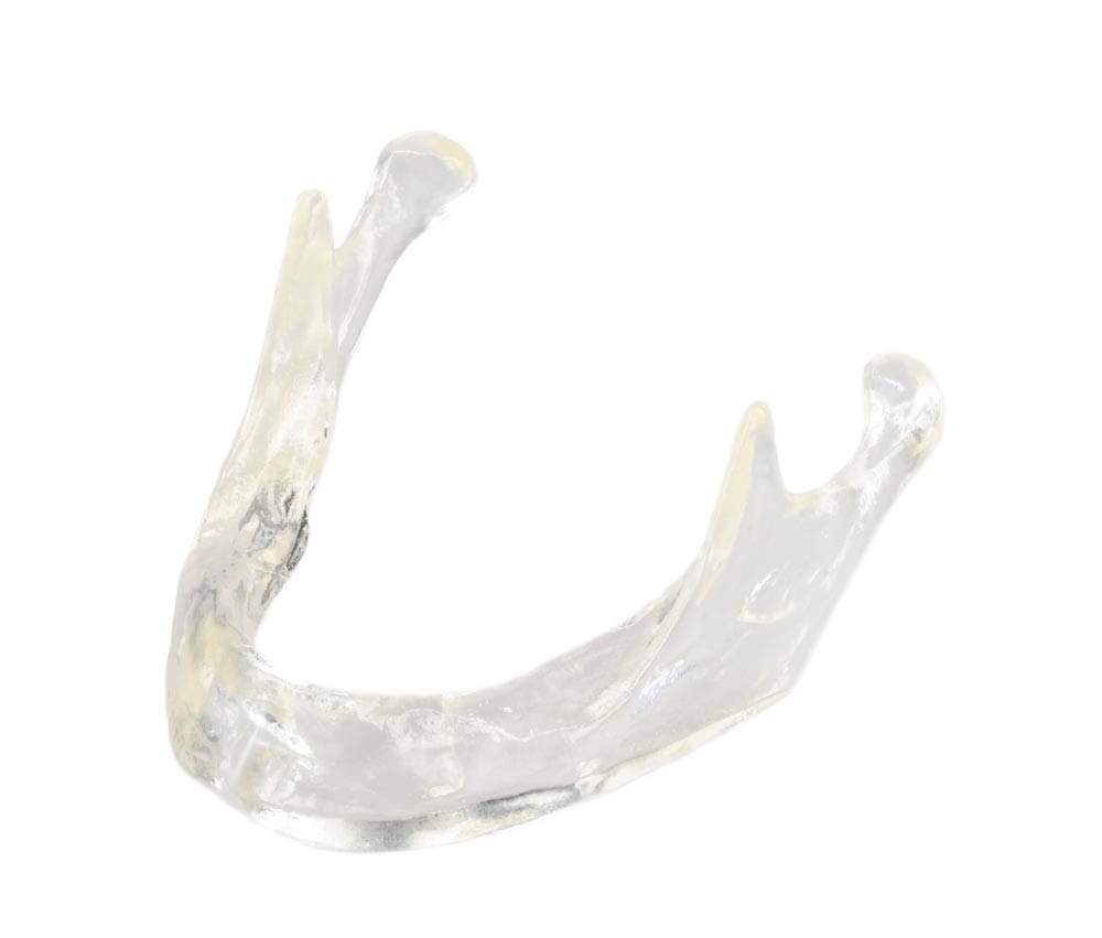 Transparent jaw model normal crest – GF Dental di Ficuciello Antonino, Gypsum Additives, Die Hardeners and Plaster Removers