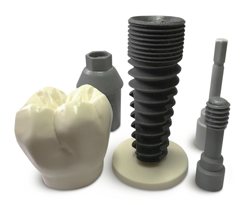 T07 Zahnimplantat-Demonstrationsmodell – GF Dental di Ficuciello Antonino, Geräte