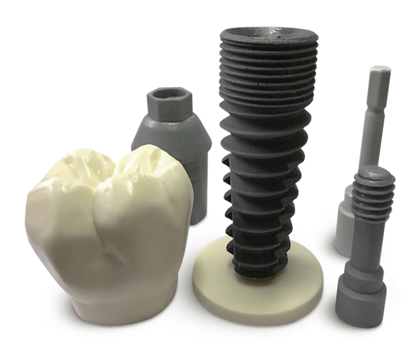 T07 Modèle Didactique d'Implant Dentaire