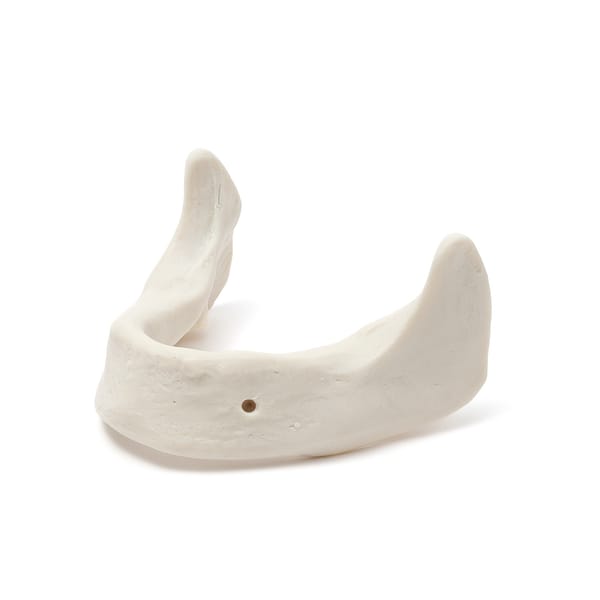 MANDIBULA B1 BONE