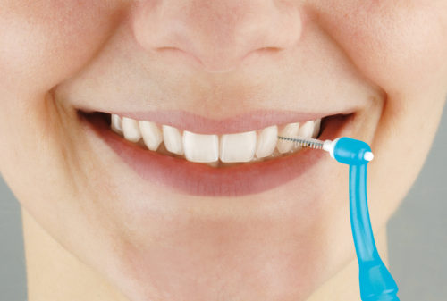 Pic-Brush® Set / Intro Kit – Hager & Werken, Interdental Cleaners