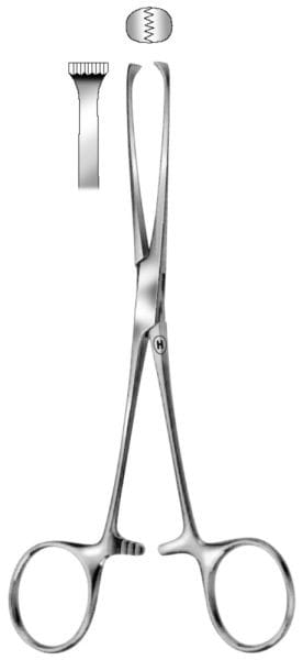 HSE 253-16, Gewebefasszange – Karl Hammacher, Surgical Tweezers