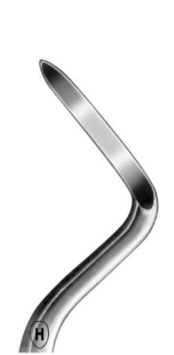 HSA 625-05, Wurzelheber