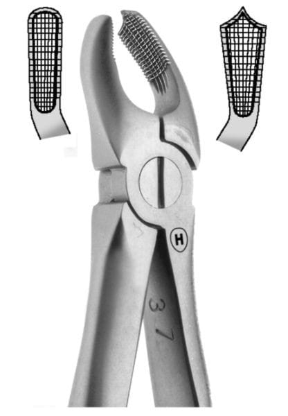 HSA 184-17, Zahnzange – Karl Hammacher, Extraction Forceps Upper Jaw