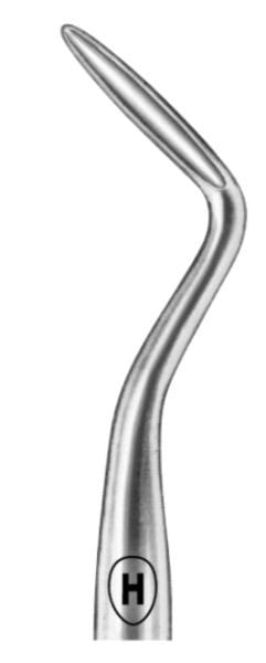 HSA 623-03, Wurzelheber