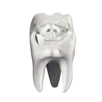 Zahnfigur Backi in Geschenkbox – ERNST HINRICHS Dental