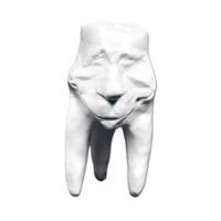 Zahnfigur Clement in Geschenkbox – ERNST HINRICHS Dental, Demonstration Models