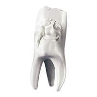 Zahnfigur Manni in Geschenkbox – ERNST HINRICHS Dental