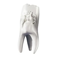 Figurine dentaire Manni en coffret cadeau