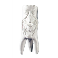 Zahnfigur Rudi in Geschenkbox – ERNST HINRICHS Dental