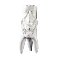 Zahnfigur Rudi in Geschenkbox – ERNST HINRICHS Dental, Demomodelle