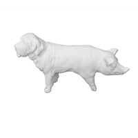 Schweinehund – ERNST HINRICHS Dental, Lab Hand Instruments