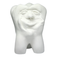 Zahnfigur Dickie – ERNST HINRICHS Dental, Die & Model Materials