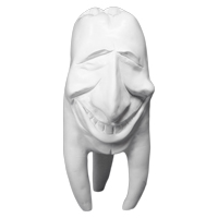 Zahnfigur Tommy – ERNST HINRICHS Dental