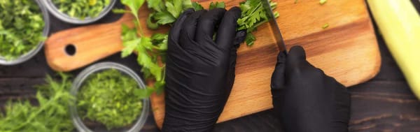 Synmax Vinyl-Handschuhe