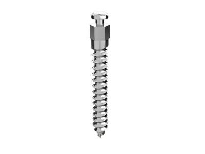 Templant Implantat L 13 mm - Stück