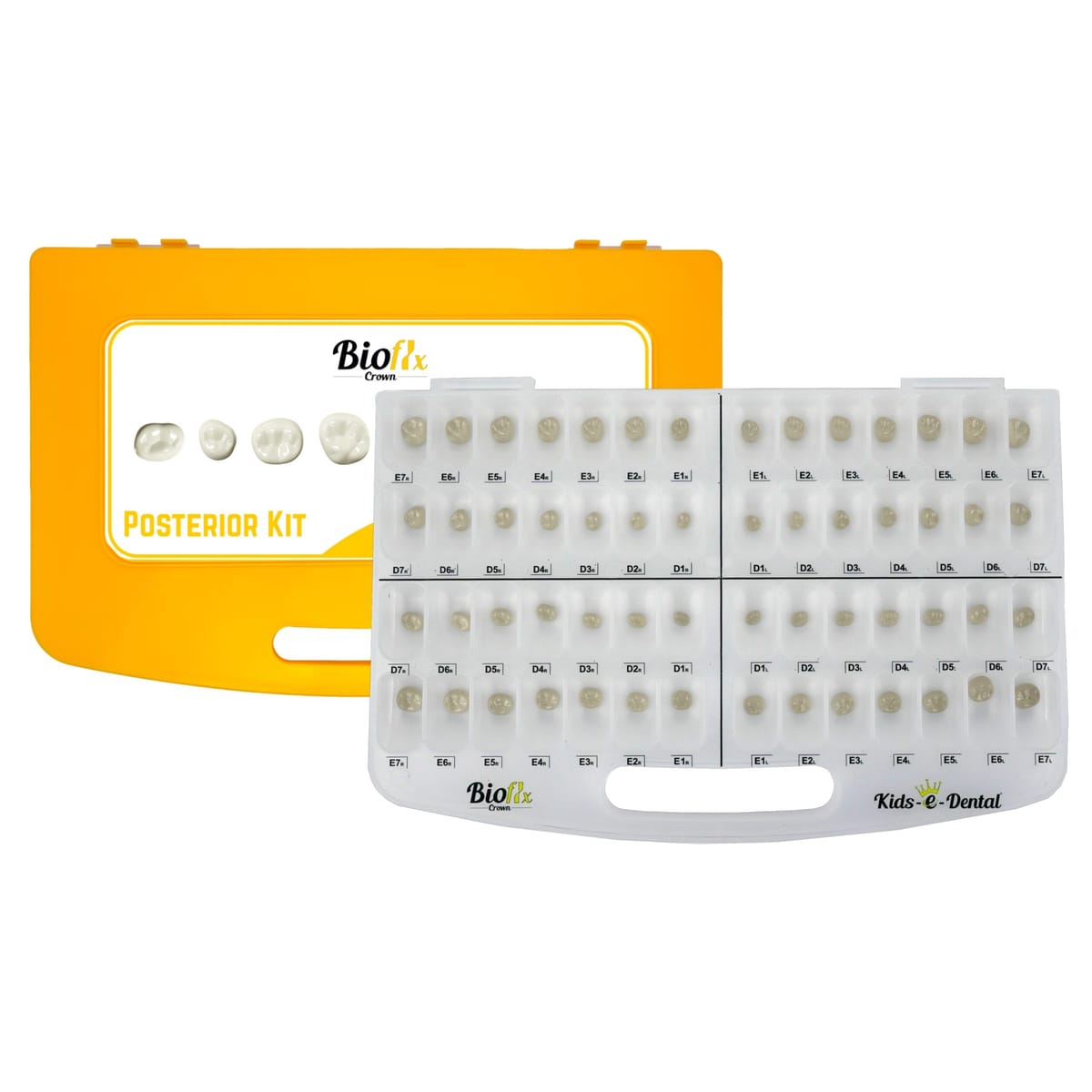 Kit complet Bioflx Postérieur – Kids-e-Dental LLP, Temporary Crowns