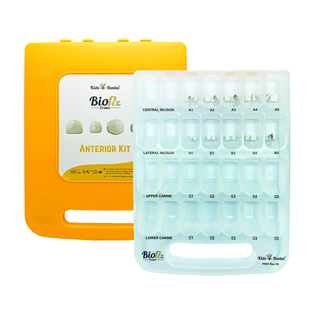 Bioflx Kronen Anteriore Schneidezähne Master-Kit – Kids-e-Dental LLP, Provisorische Kronen