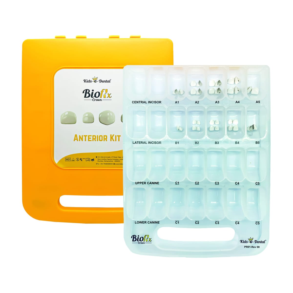 Bioflx Kronen Anteriore Schneidezähne Professional-Kit – Kids-e-Dental LLP, Provisorische Kronen
