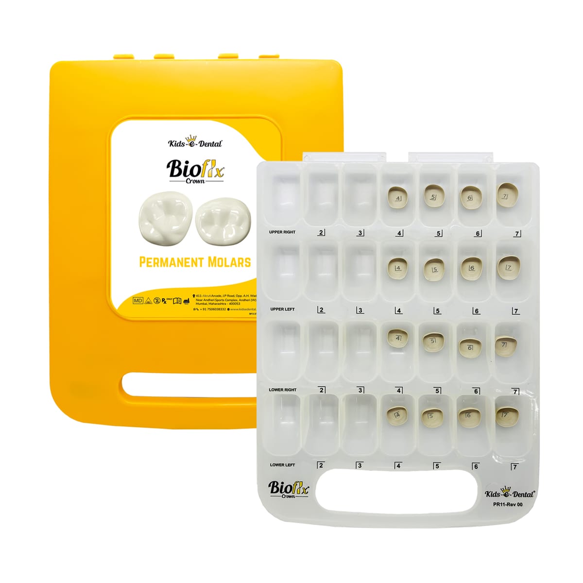 Bioflx Permanent Molar Crowns Starter Kit – Kids-e-Dental LLP, Zahntechnikartikel