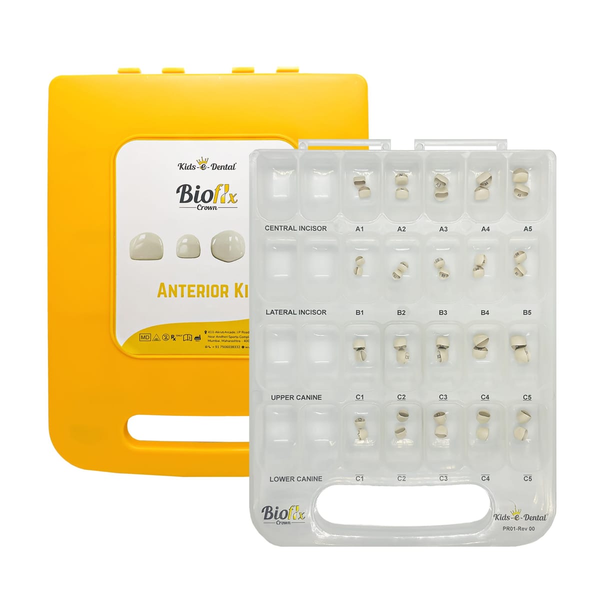 Bioflx Couronnes antérieures - Kit Master – Kids-e-Dental LLP, Temporary Crowns