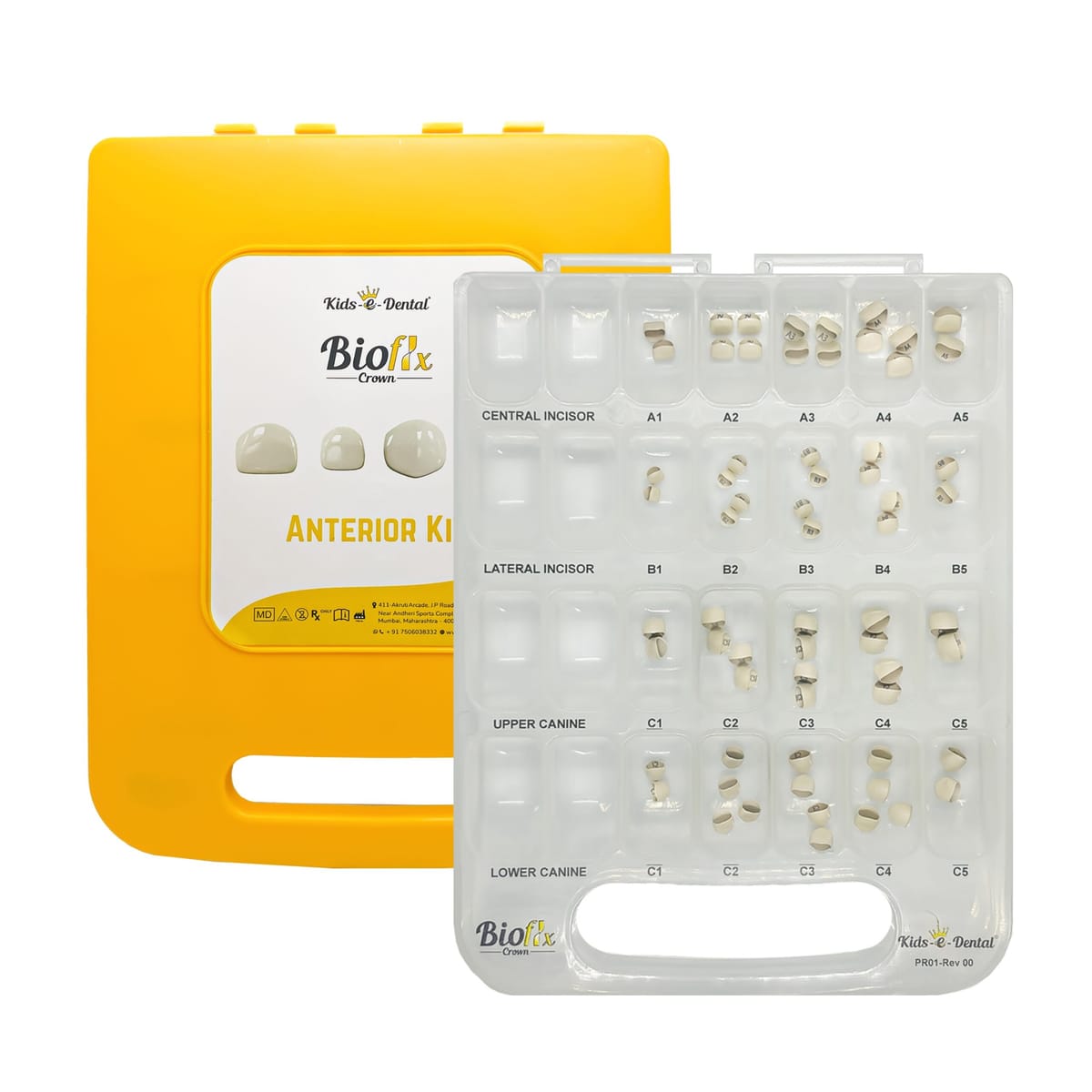 Bioflx Couronnes antérieures - Kit Professionnel – Kids-e-Dental LLP, Temporary Crowns
