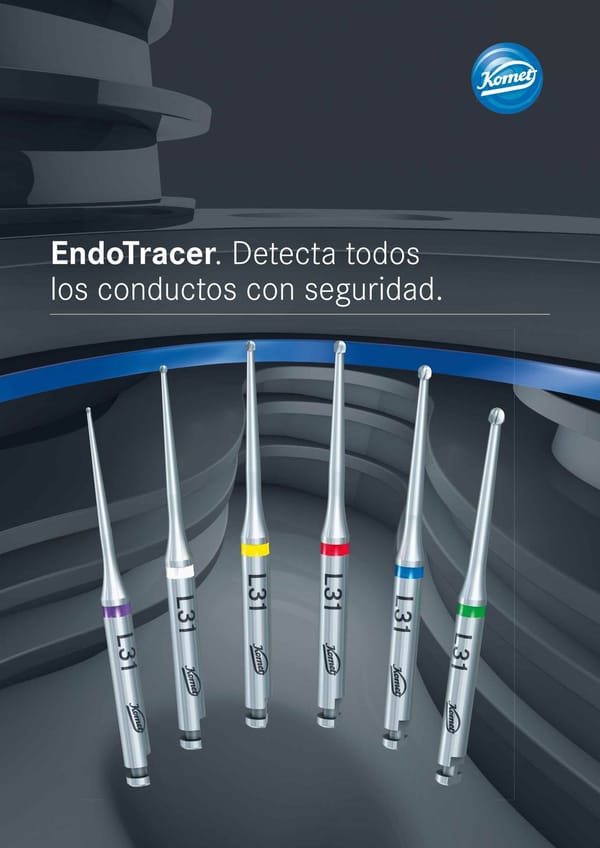 Foletto | EndoTracer