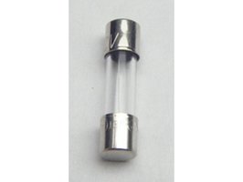 Slow Blow type Fuse 5.0 Amp – Labomed Europe b.v.