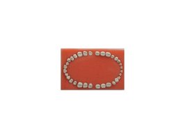 Replacement Teeth Set – Labomed Europe b.v., Practice Furniture