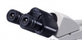 Binocular Observation Head, 30 inclined – Labomed Europe b.v., Loupes & Headlamps