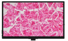 BlueBox LIMS Screen – Labomed Europe b.v., Intraoral Cameras