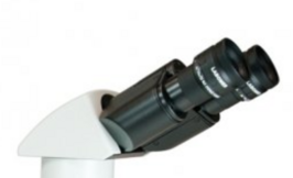 Binocular observation head – Labomed Europe b.v.