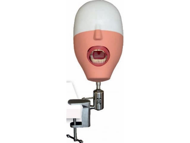 Phantom head, tafel model – Labomed Europe b.v., Equipment