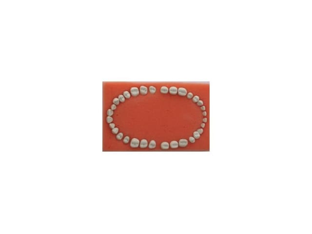 Replacement Teeth Set – Labomed Europe b.v., Demomodelle