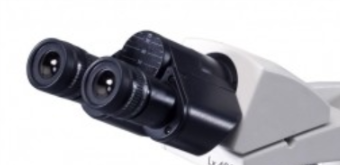 Binocular Observation Head, 30 inclined – Labomed Europe b.v., Geräte