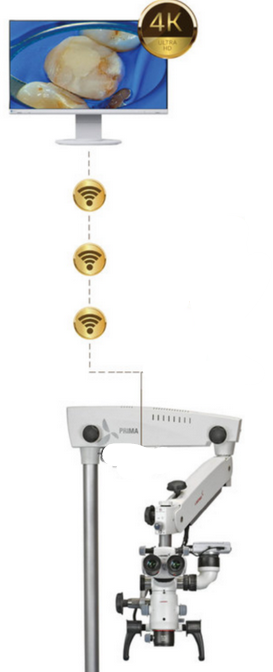Upgrade documentation kit to Wireless – Labomed Europe b.v., Diagnostics