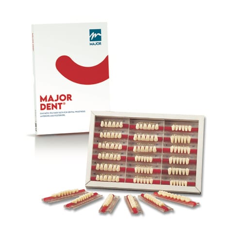 Major Dent – Major Prodotti Dentari S.p.A., Posterior Teeth
