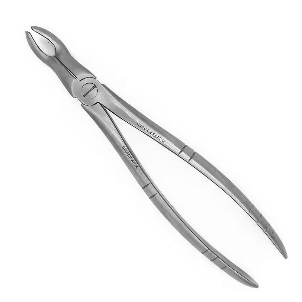 Daviers Adultes A67A – MEDISTOCK, Extraktionszangen