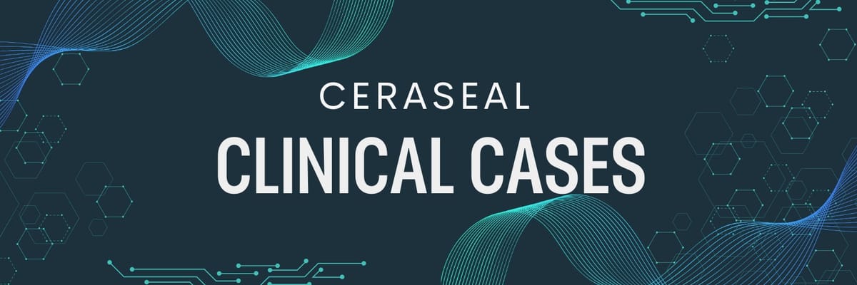 CeraSeal – META BIOMED CO., LTD., Cements