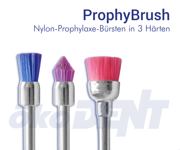 Prophy Brush - in 3 Härten