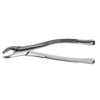 Apikalzange
