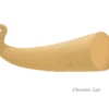 X-Gut™ Chromic Gut Absorbable Suture