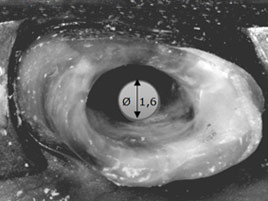 Hi-Rem Polygon Post - Overfibers