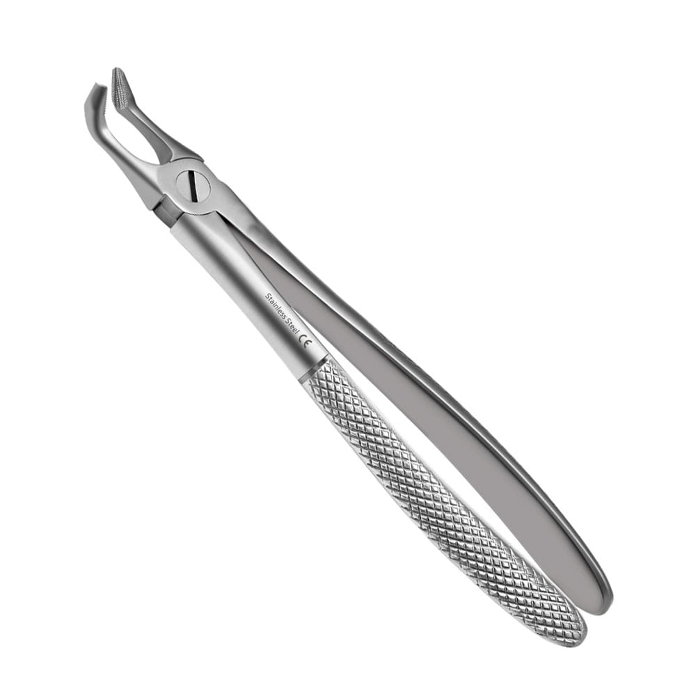 79N Forceps d'extraction modèle anglais – Precision Dental, Extraction Forceps